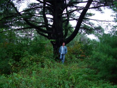 Nature Portrait